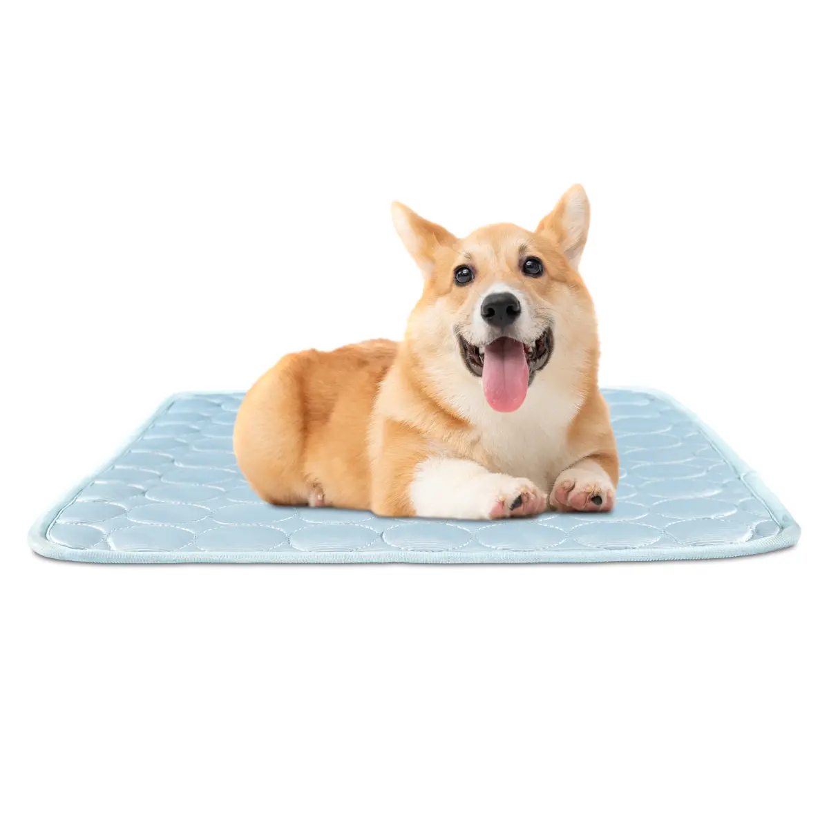 Mata chłodząca dla psa pikowana niebieska - obrazek 1